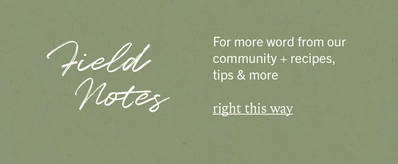 Field Notes