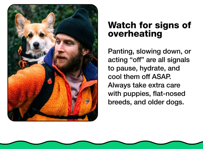 Watch for signs of overheating