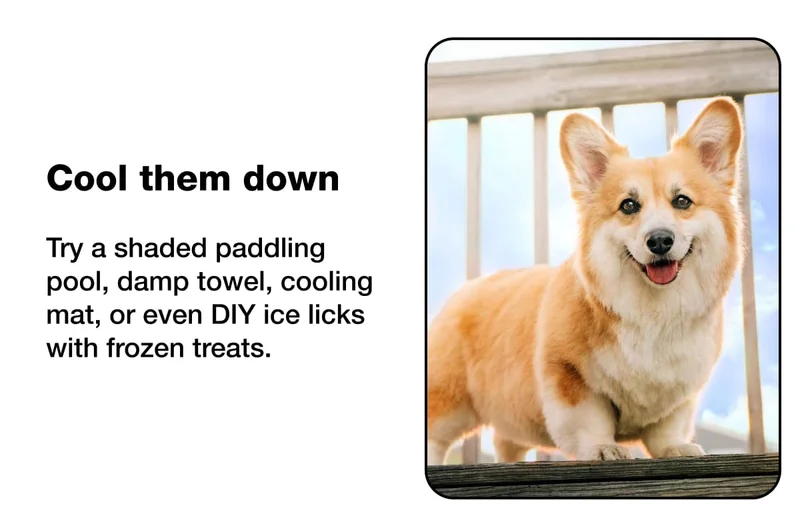 Cool them down