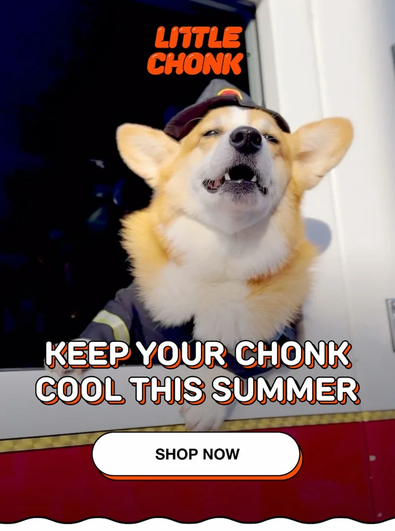 KEEP YOUR CHONK COOL THIS SUMMER
