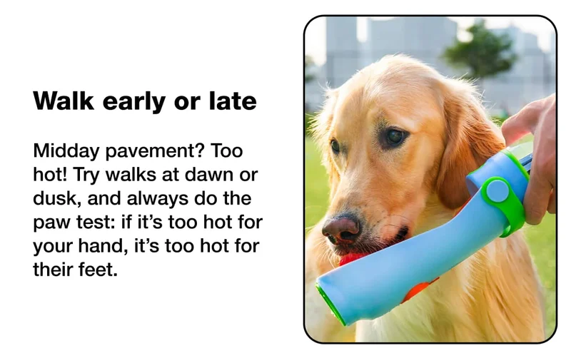 Walk early or late