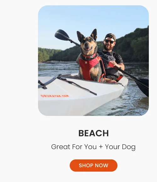 BEACH BEACH