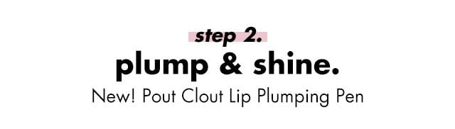 step 2 plump & shine