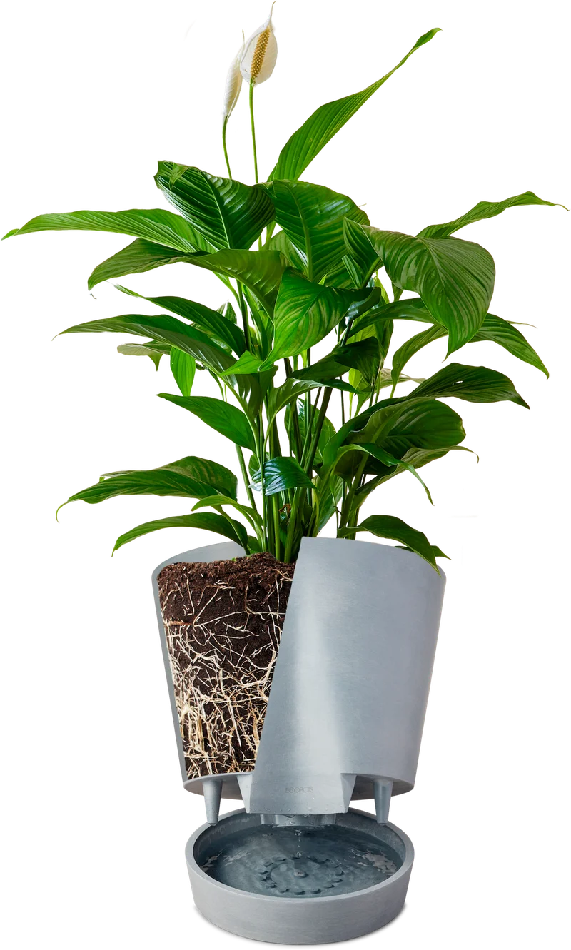 self watering pot diagram