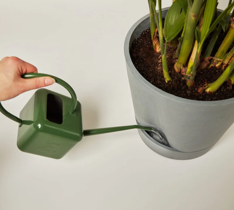 self-watering pot overhead shot
