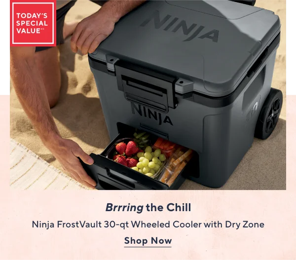 Ninja TSV
