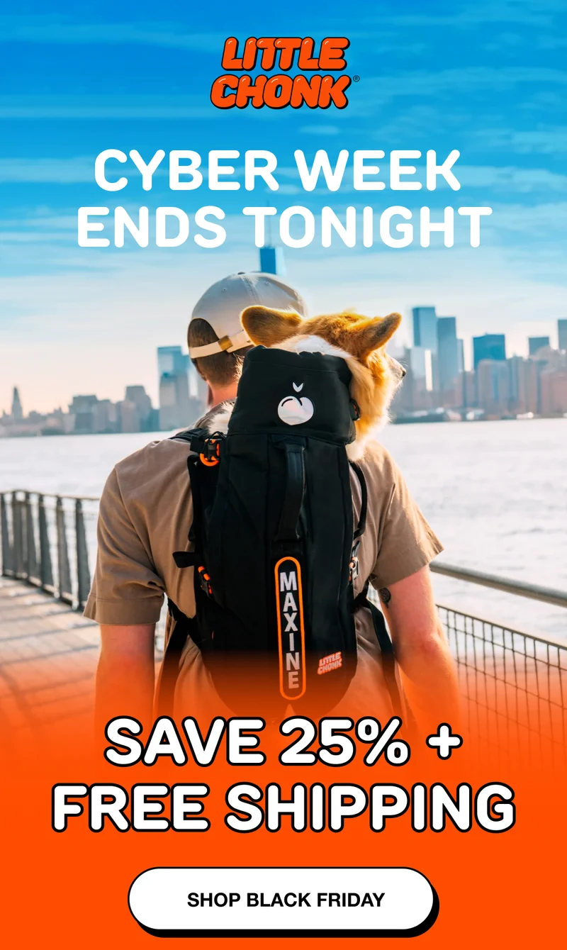 BIGGEST SALE OF THE YEAR