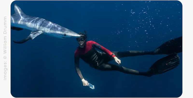 Tested in extremes and trusted by pros, the Promaster Dive E365 redefines innovation and durability.