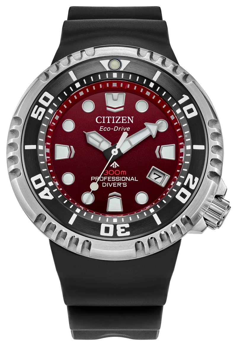Image of Promaster Dive E365