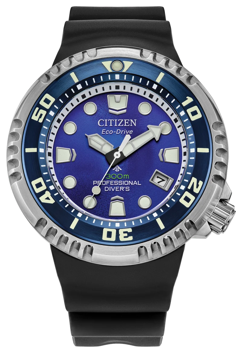 Image of Promaster Dive E365