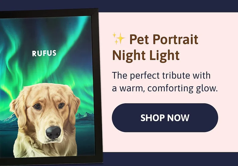 ✨ Pet Portrait Night Light - The perfect tribute with a warm, comforting glow