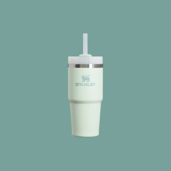 THE QUENCHER H2.0 FLOWSTATE™ TUMBLER | 14 OZ