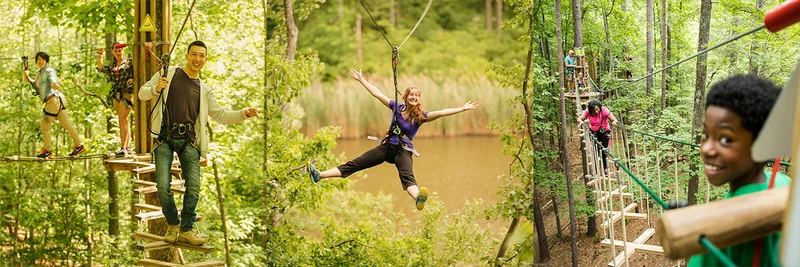 Go Ape Images