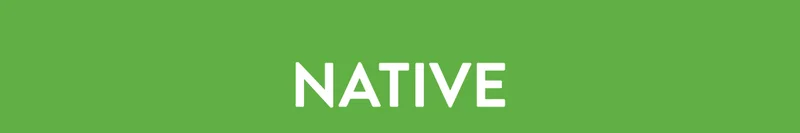 NATIVE