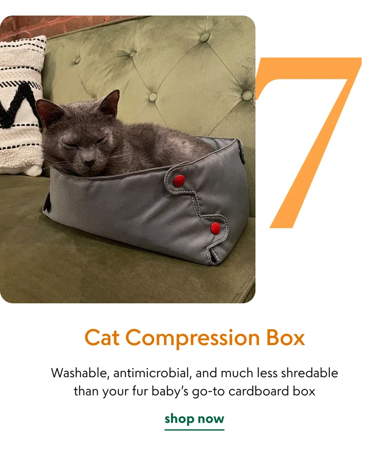cat-compression-box