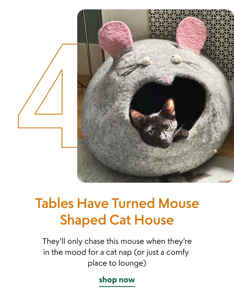 tables-have-turned-mouse-shaped-cat-house