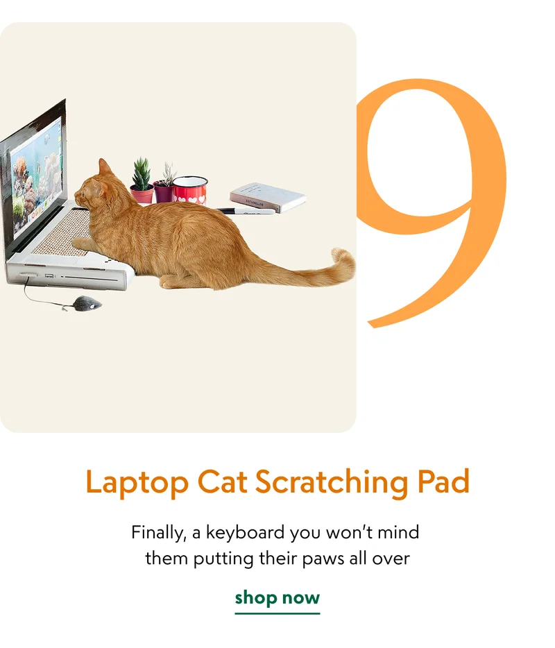 laptop-cat-scratching-pad