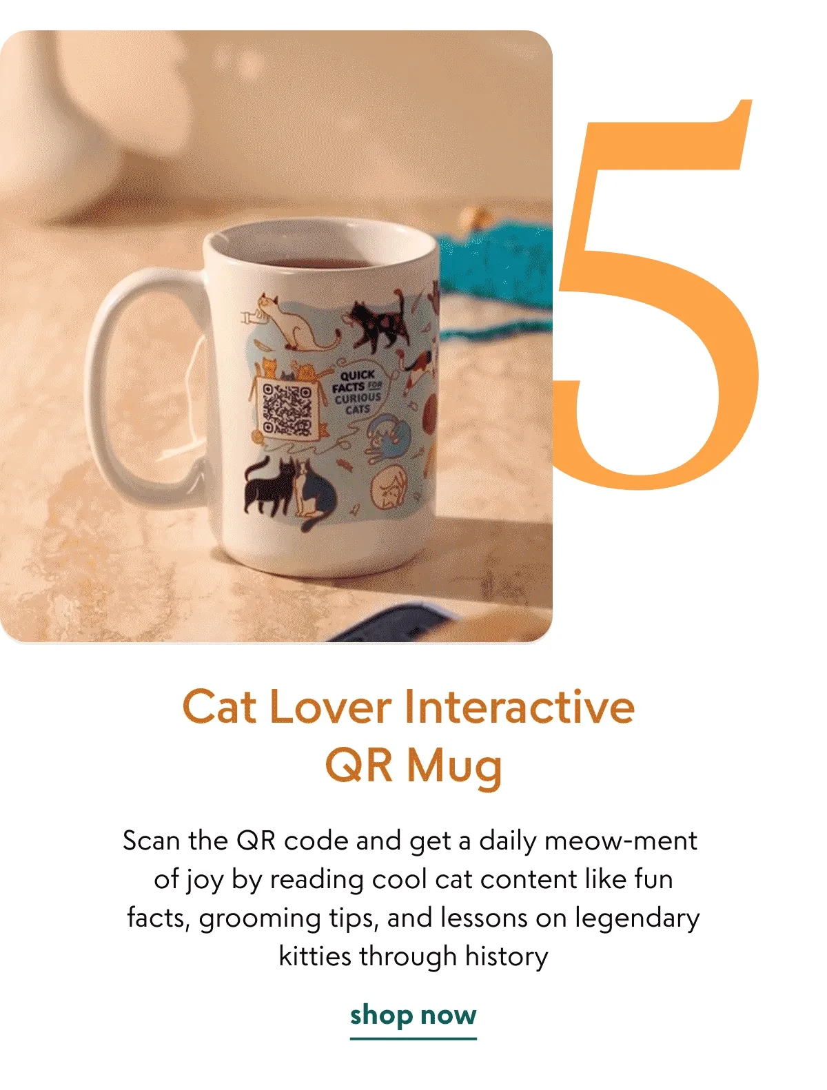 cat-lover-interactive-qr-mug