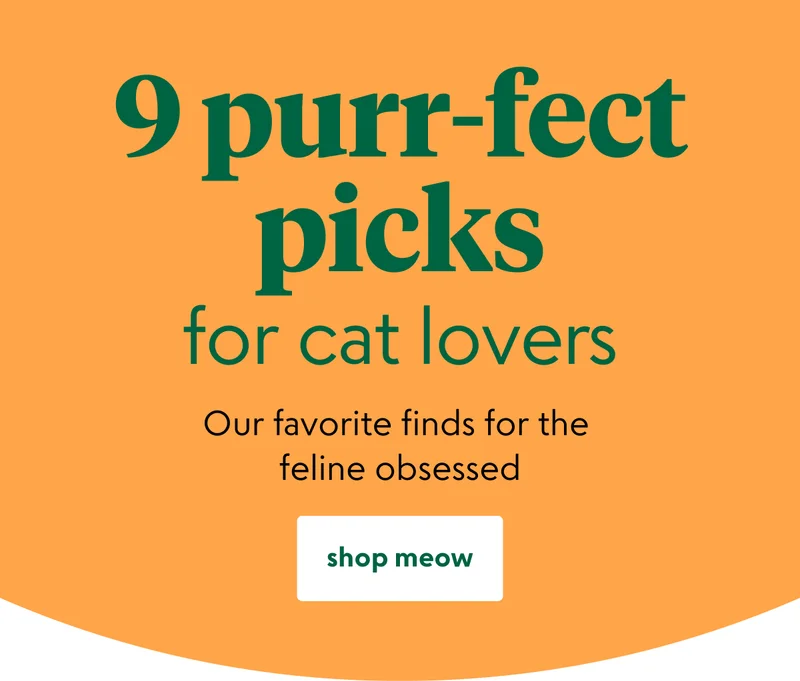 cat-lovers