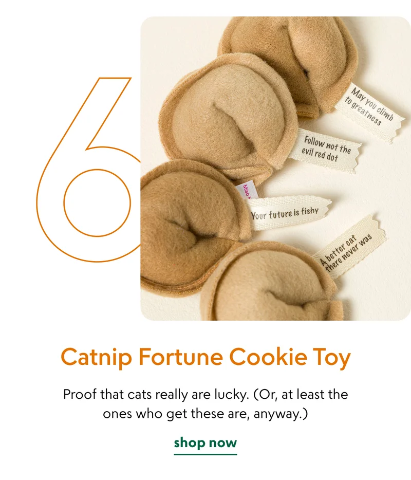 catnip-fortune-cookie-toy