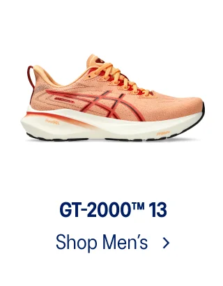 GT-2000 13