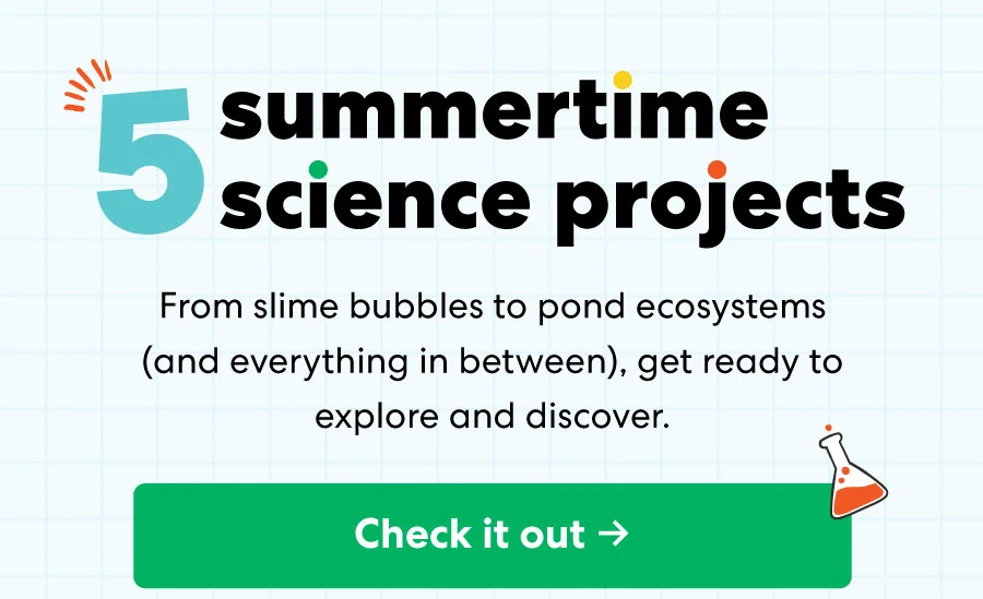 5 summertime science projects