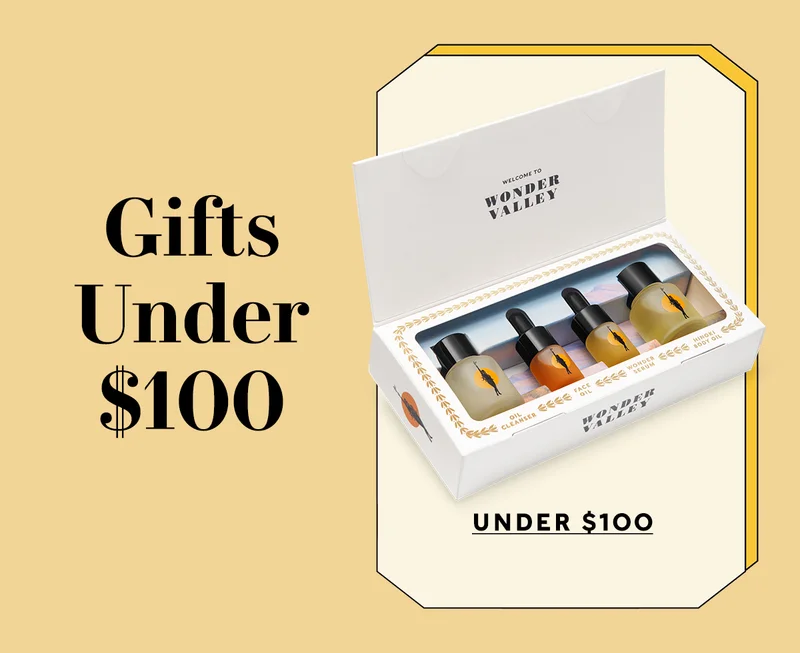Shop Gifts Under $100