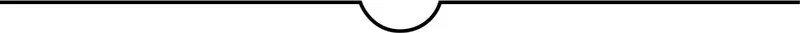 Image description: A divider line