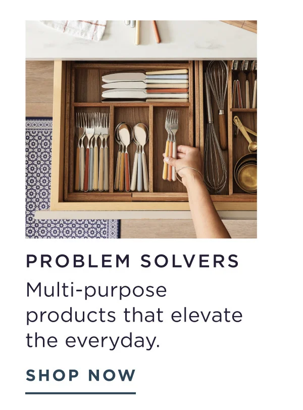 Problem Solvers