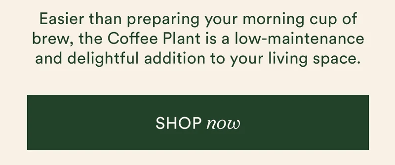 shop the Coffee Plant