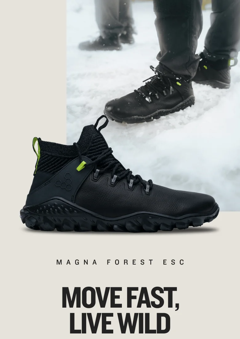 SHOP MAGNA FOREST ESC
