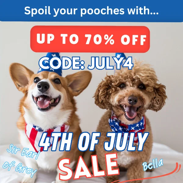 4th of July 2 - personal dogs