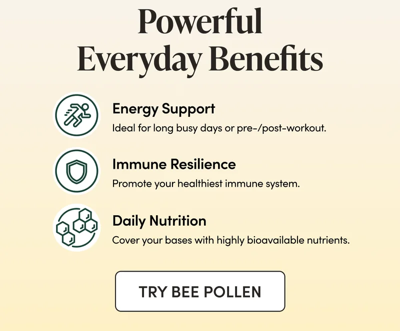 Powerful Everyday Benefits      Energy Support   Ideal for long busy days or pre-/post-workout.   Immune Resilience Promote your healthiest immune system.   Daily Nutrition  Cover your bases with highly bioavailable nutrients.
