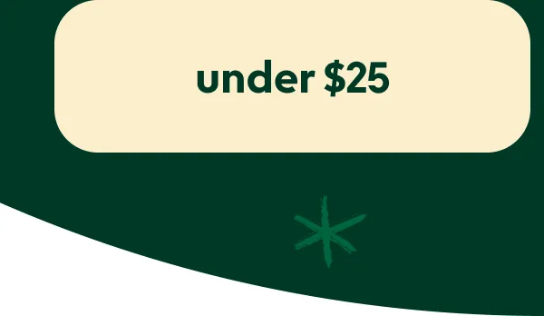 christmas-gifts-under-25
