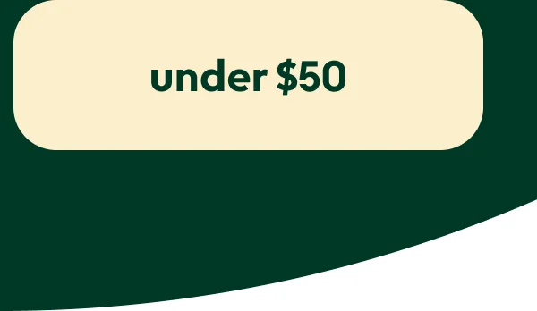 christmas-gifts-under-50