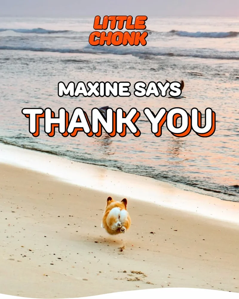 MAXINE SAYS THANK YOU THANK YOU