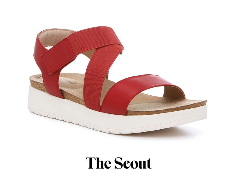 The Scout