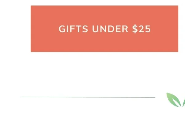 Shop gifts under $25