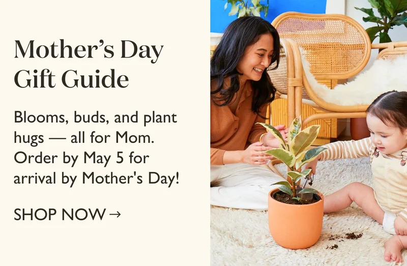 Plants Make Moms Happy - Shop our Mother's Day Gift Guide! Order by May 5 for arrival by Mother's Day.