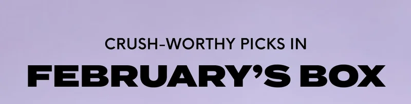 CRUSH-WORTHY PICKS IN FEBRUARY'S BOX*
