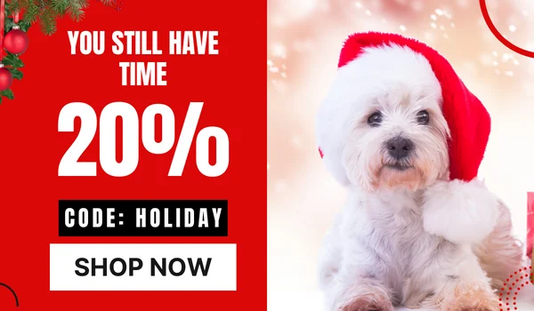 Holiday Sale