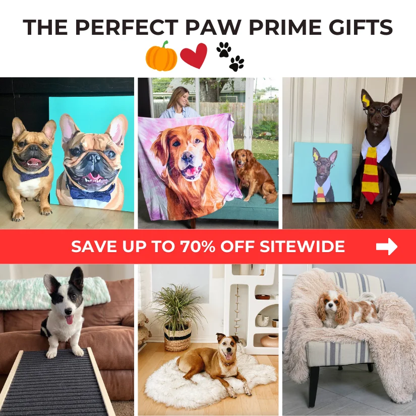 Paw Prime Surprise Sale