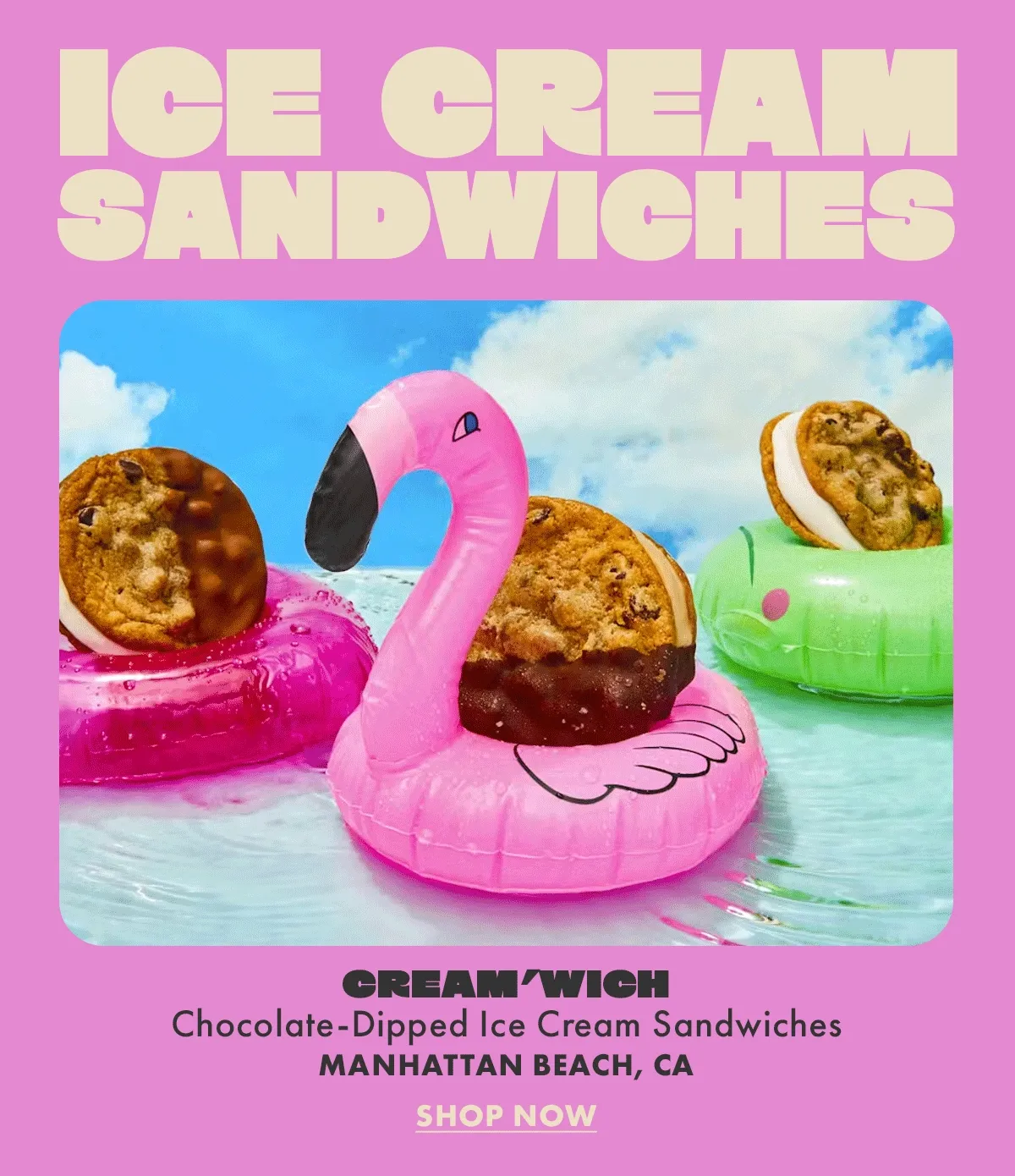 Ice Cream Sandwiches Ice Cream Sandwiches