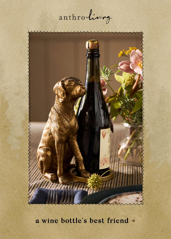 a wine bottle's best friend