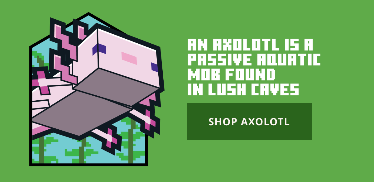 SHOP MORE AXOLOTL