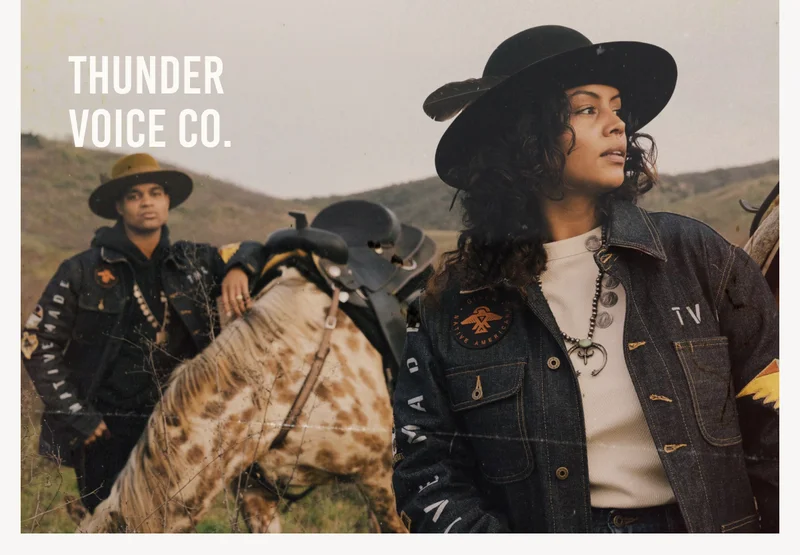 Thunder Voice Co.