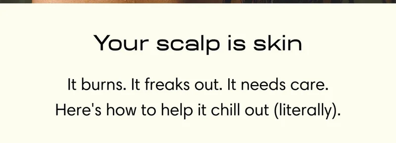 Your scalp is skin // It burns. It freaks out. It needs care. Here's how to help it chill out (literally).