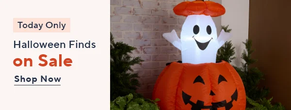 One Day Halloween Sale