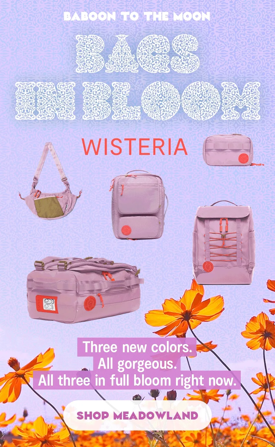 New Collection: Meadowland