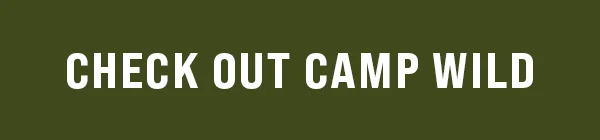 Check Out Camp Wild
